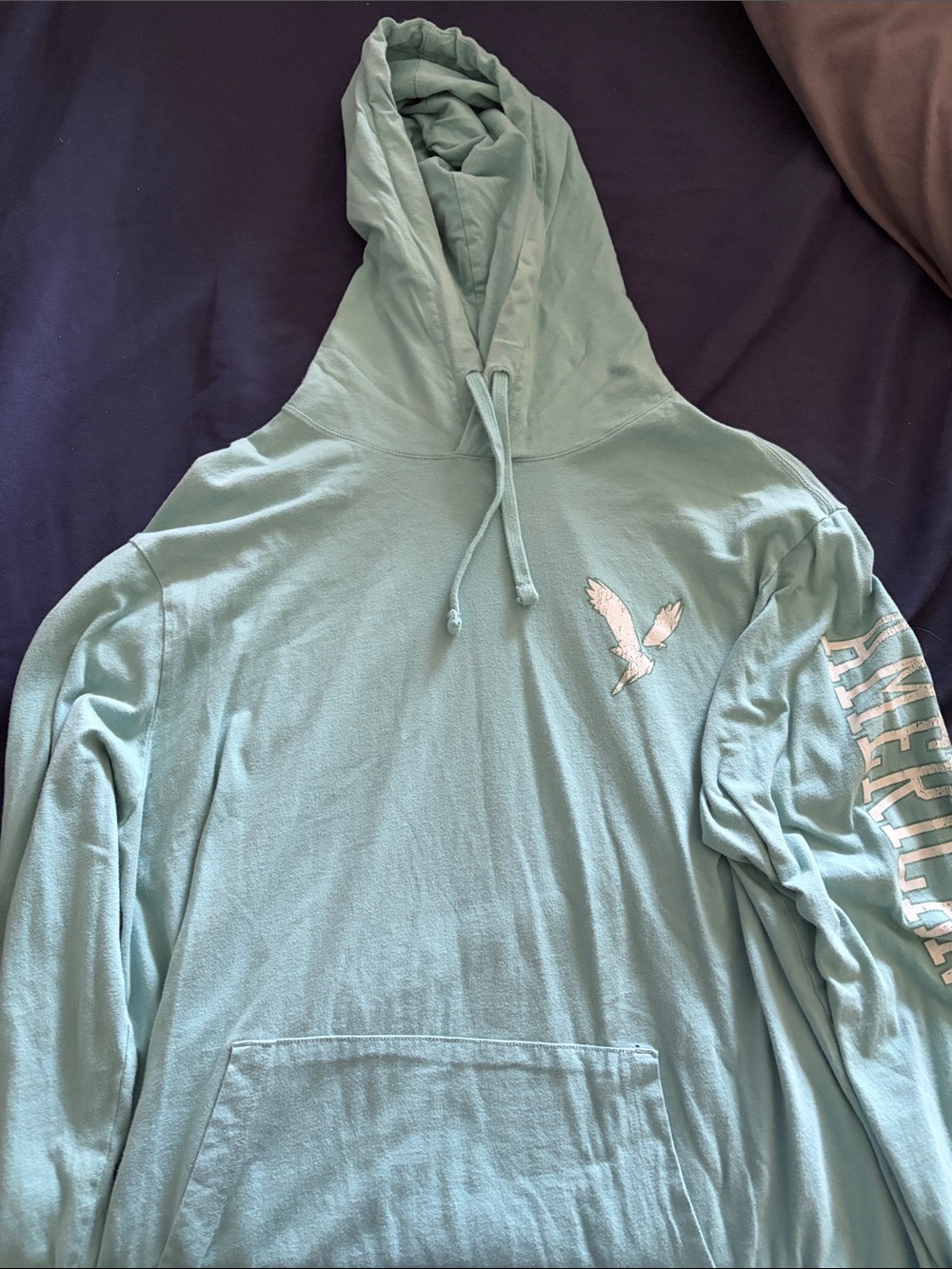 American Eagle Outfitters Light Teal Hoodie with Embroidered Eagle